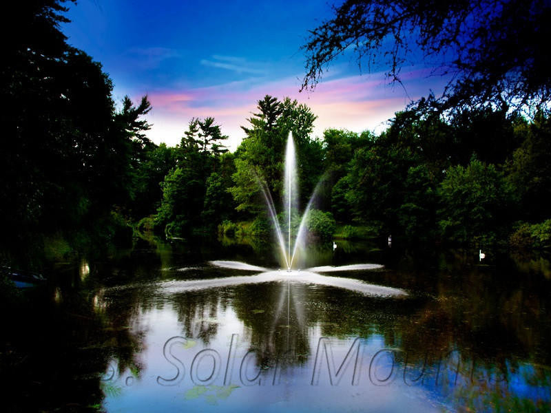 Clover Fountain – 1/2 HP | 115V