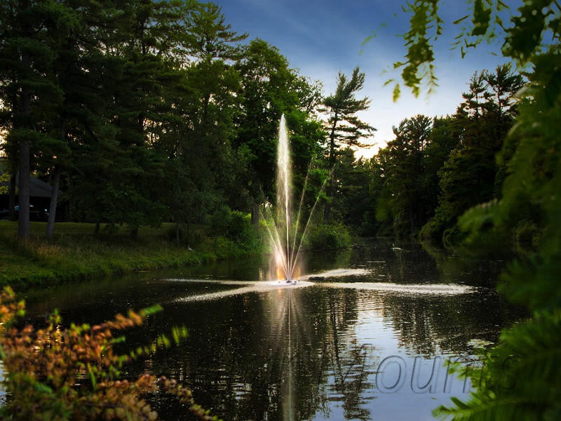 Clover Fountain – 1/2 HP | 115V