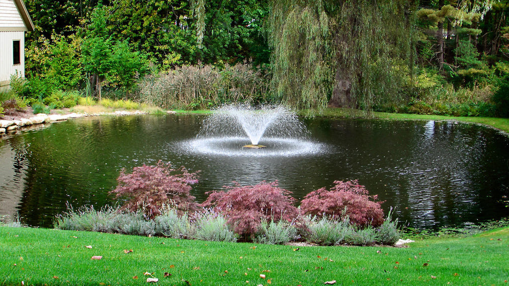 DA-20 Display Aerator – 1/3 HP | 115V
