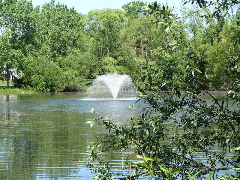 The North Star Fountain Aerator 1-1/2 HP | 230V