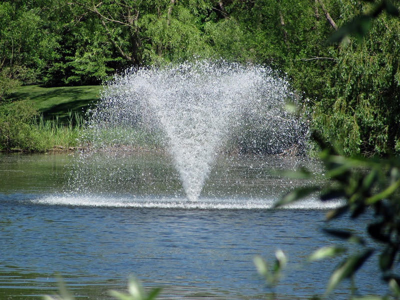 The North Star Fountain Aerator 1-1/2 HP | 230V